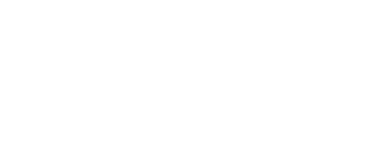 logo-sas SAS logo